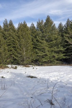 Vitosha Dağı 'nın kış manzarası, Sofya Şehir Bölgesi, Bulgaristan
