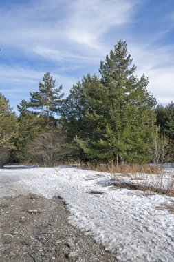 Vitosha Dağı 'nın kış manzarası, Sofya Şehir Bölgesi, Bulgaristan