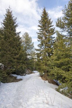 Vitosha Dağı 'nın kış manzarası, Sofya Şehir Bölgesi, Bulgaristan
