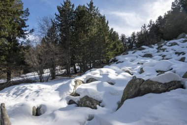 Vitosha Dağı 'nın kış manzarası, Sofya Şehir Bölgesi, Bulgaristan