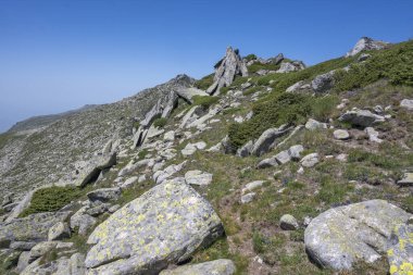 Bulgaristan 'ın Kalin zirvesi yakınlarındaki Rila Dağı' nın İnanılmaz Yaz Manzarası
