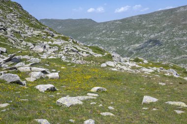 Bulgaristan 'ın Kalin zirvesi yakınlarındaki Rila Dağı' nın İnanılmaz Yaz Manzarası