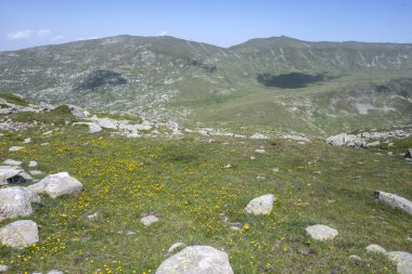 Bulgaristan 'ın Kalin zirvesi yakınlarındaki Rila Dağı' nın İnanılmaz Yaz Manzarası