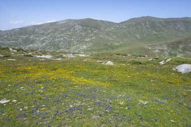 Bulgaristan 'ın Kalin zirvesi yakınlarındaki Rila Dağı' nın İnanılmaz Yaz Manzarası