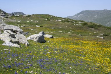 Bulgaristan 'ın Kalin zirvesi yakınlarındaki Rila Dağı' nın İnanılmaz Yaz Manzarası