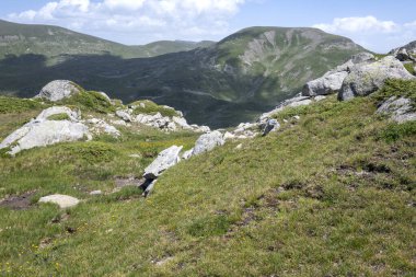 Bulgaristan 'ın Kalin zirvesi yakınlarındaki Rila Dağı' nın İnanılmaz Yaz Manzarası