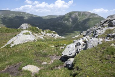 Bulgaristan 'ın Kalin zirvesi yakınlarındaki Rila Dağı' nın Yaz Manzarası