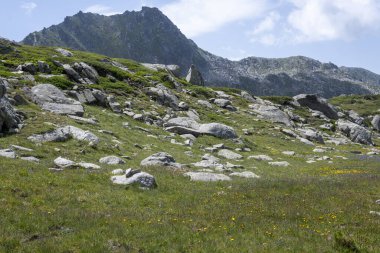 Bulgaristan 'ın Kalin zirvesi yakınlarındaki Rila Dağı' nın İnanılmaz Yaz Manzarası