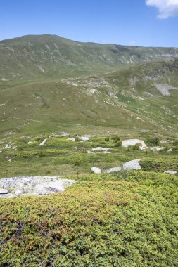 Bulgaristan 'ın Kalin zirvesi yakınlarındaki Rila Dağı' nın İnanılmaz Yaz Manzarası