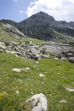 Bulgaristan 'ın Kalin zirvesi yakınlarındaki Rila Dağı' nın İnanılmaz Yaz Manzarası