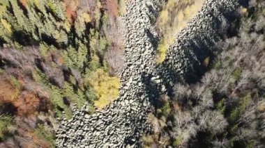 Bulgaristan 'ın başkenti Sofya' nın Vitosha Dağı 'ndaki Zlatnite Mostove (Altın Köprüler) adlı taştan nehrin hava sonbahar manzarası