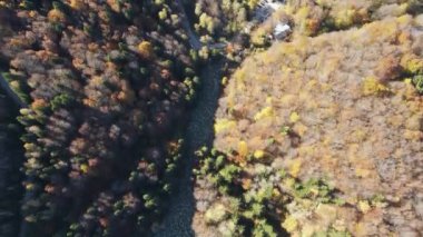 Bulgaristan 'ın başkenti Sofya' nın Vitosha Dağı 'ndaki Zlatnite Mostove (Altın Köprüler) adlı taştan nehrin hava sonbahar manzarası