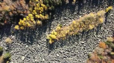 Bulgaristan 'ın başkenti Sofya' nın Vitosha Dağı 'ndaki Zlatnite Mostove (Altın Köprüler) adlı taştan nehrin hava sonbahar manzarası