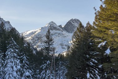 Bulgaristan 'ın Malyovitsa zirvesi yakınlarındaki Rila Dağı' nın şaşırtıcı kış manzarası