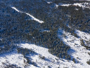 Vitosha Dağı 'nın hava kışı manzarası, Sofya Şehri, Bulgaristan