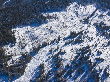 Vitosha Dağı 'nın hava kışı manzarası, Sofya Şehri, Bulgaristan