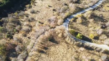 Bulgaristan 'ın Vitosha Dağı' nın İnanılmaz Sonbaharı