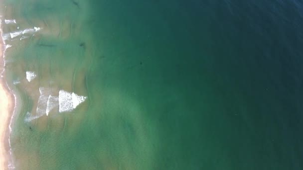 Вид Повітря Пляж Смокінія Поблизу Созополя Бургаська Область Болгарія — стокове відео