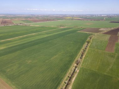 Bulgaristan 'ın Filibe Bölgesi' nin Tsalapitsa köyü yakınlarındaki Yukarı Trakya Ovası 'nın hava manzarası