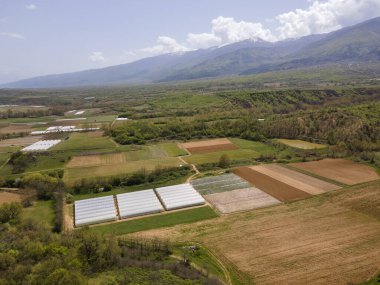 Petrich Vadisi, Blagoevgrad bölgesi, Bulgaristan