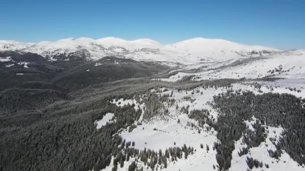 Amazing Aerial Winter View Rila Mountain Belmeken Dam Bulgaria — Wideo stockowe