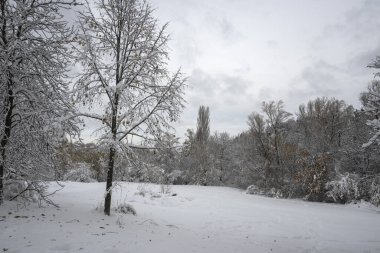 Bulgaristan 'ın Sofya kentindeki South Park' ın şaşırtıcı kış manzarası