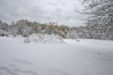 Bulgaristan 'ın Sofya kentindeki South Park' ın şaşırtıcı kış manzarası