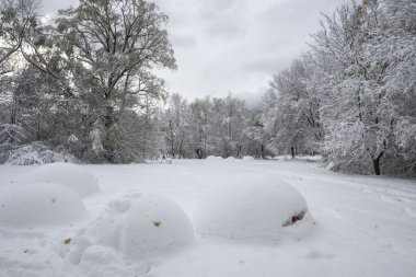 Bulgaristan 'ın Sofya kentindeki South Park' ın şaşırtıcı kış manzarası