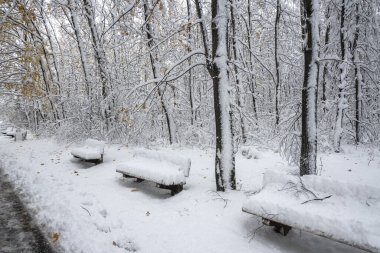 Bulgaristan 'ın Sofya kentindeki South Park' ın şaşırtıcı kış manzarası