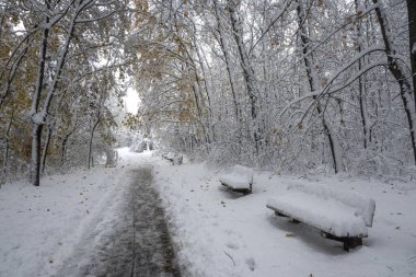 Bulgaristan 'ın Sofya kentindeki South Park' ın şaşırtıcı kış manzarası