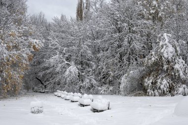 Bulgaristan 'ın Sofya kentindeki South Park' ın şaşırtıcı kış manzarası