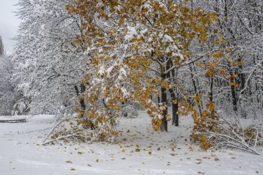 Bulgaristan 'ın Sofya kentindeki South Park' ın şaşırtıcı kış manzarası