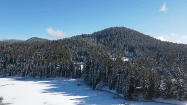 Bulgaristan 'ın Buzdan Pazardzhik Bölgesi ile kaplı Bekika Barajı' nın kış manzarası