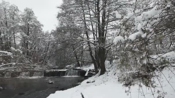 Winter Blick Auf Den Fluss Iskar Der Nähe Pancharevo See — Stockvideo