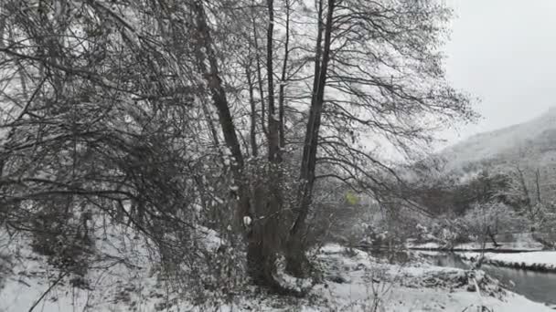 Winter Blick Auf Den Fluss Iskar Der Nähe Pancharevo See — Stockvideo