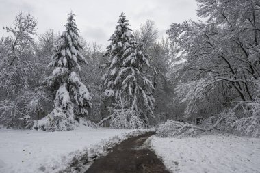 Bulgaristan 'ın Sofya kentindeki South Park' ın şaşırtıcı kış manzarası