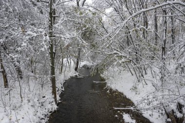 Bulgaristan 'ın Sofya kentindeki South Park' ın şaşırtıcı kış manzarası