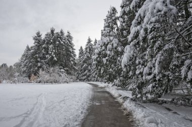 Bulgaristan 'ın Sofya kentindeki South Park' ın şaşırtıcı kış manzarası