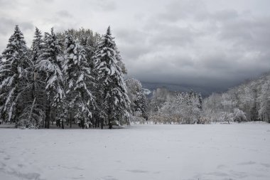 Bulgaristan 'ın Sofya kentindeki South Park' ın şaşırtıcı kış manzarası