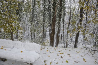 Bulgaristan 'ın Sofya kentindeki South Park' ın şaşırtıcı kış manzarası