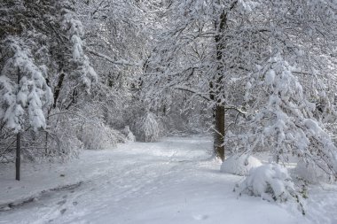 Bulgaristan 'ın Sofya kentindeki South Park' ın şaşırtıcı kış manzarası