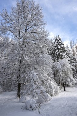 Bulgaristan 'ın Sofya kentindeki South Park' ın şaşırtıcı kış manzarası