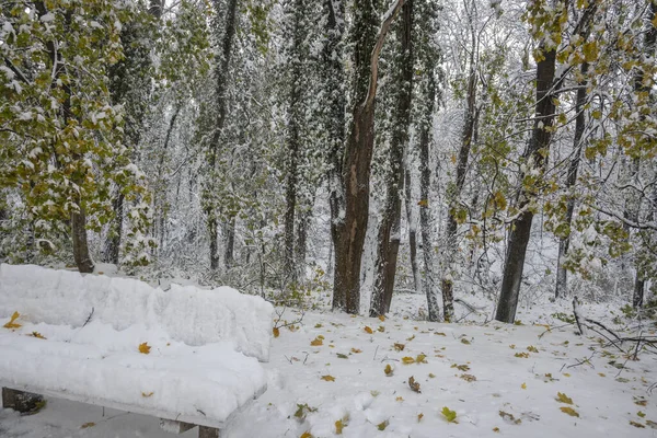 Bulgaristan 'ın Sofya kentindeki South Park' ın şaşırtıcı kış manzarası