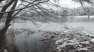 Pancharevo gölünün kış manzarası, Sofya şehir bölgesi, Bulgaristan