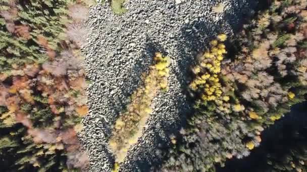 Vista Aérea Outono Rio Stone Conhecido Como Zlatnite Mostove Golden — Vídeo de Stock