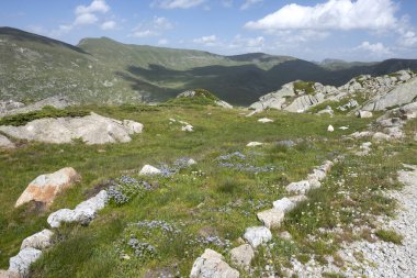 Bulgaristan 'ın Kalin zirvesi yakınlarındaki Rila Dağı' nın İnanılmaz Yaz Manzarası