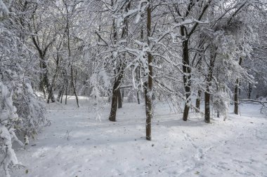 Bulgaristan 'ın Sofya kentindeki South Park' ın şaşırtıcı kış manzarası