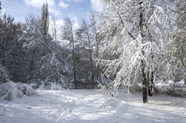 Bulgaristan 'ın Sofya kentindeki South Park' ın şaşırtıcı kış manzarası