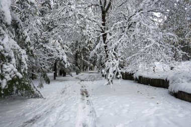 Bulgaristan 'ın Sofya kentindeki South Park' ın şaşırtıcı kış manzarası