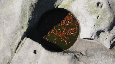 Belintash 'ın havadan sonbahar manzarası - Bulgaristan' ın Rodop Dağları 'ndaki tanrı Sabazios' a adanmış antik tapınak